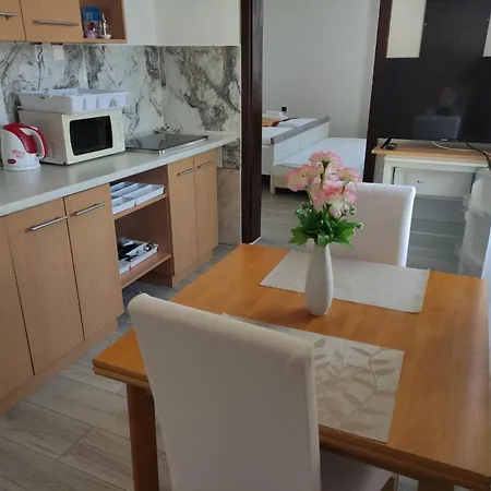 Pension Vidhous 1 Guest house 3*