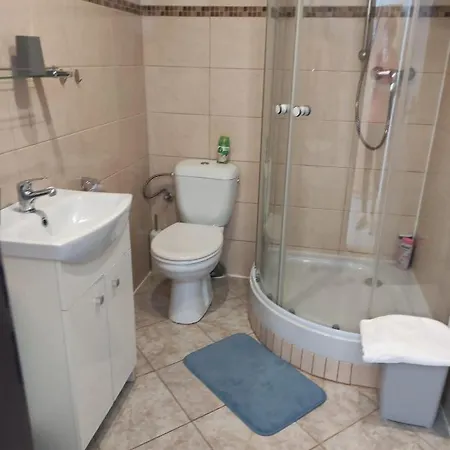 Pension Vidhous 1 3* Frantiskovy Lazne