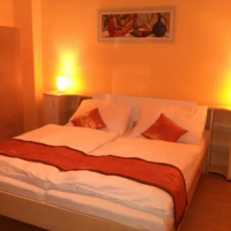 Pension Vidhous 1 3* Frantiskovy Lazne