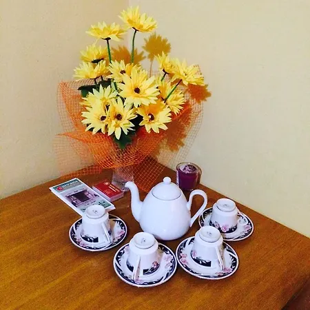 Vidhous 1 3* Františkovy Lázně