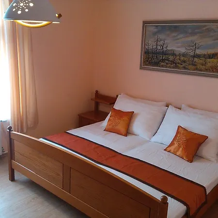 Pension Vidhous 1 Guest house Frantiskovy Lazne