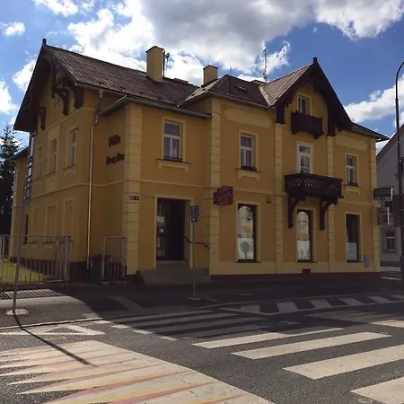 Pension Vidhous 1 3* Frantiskovy Lazne