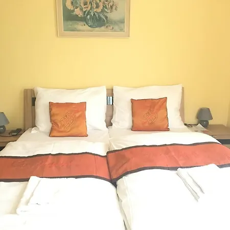 Vidhous 1 3* Františkovy Lázně