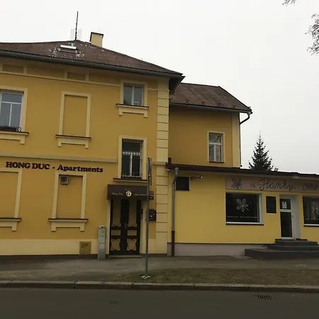 Pension Vidhous 1 3*