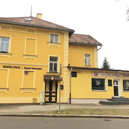 Pension Vidhous 1 3* Frantiskovy Lazne