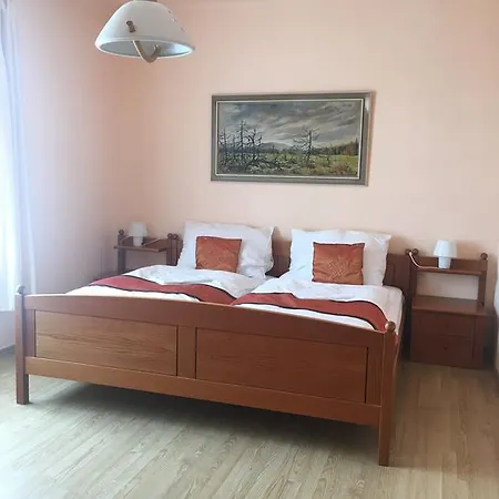 Vidhous 1 3* Františkovy Lázně