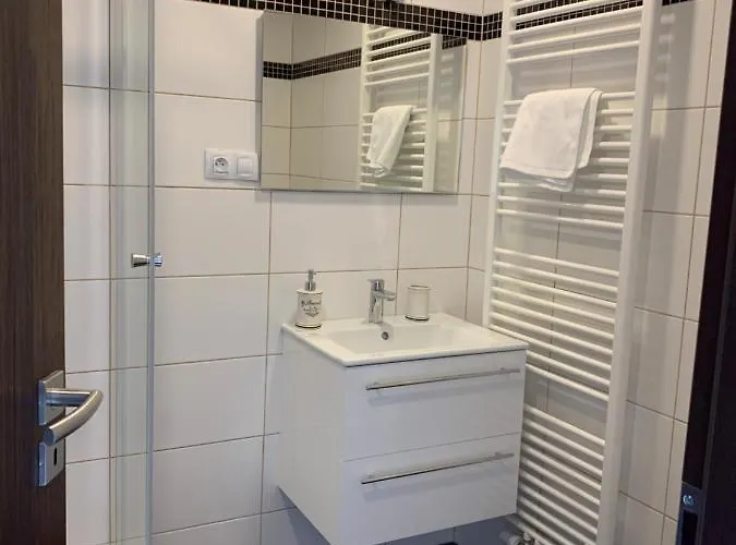 Vidhous 1 Františkovy Lázně