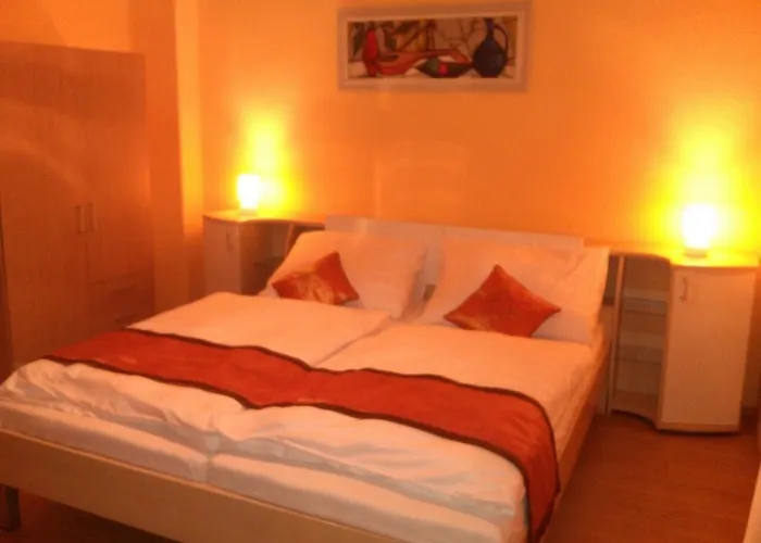 Vidhous 1 3* Františkovy Lázně