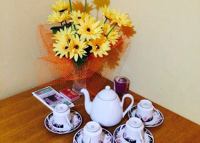 Vidhous 1 3* Františkovy Lázně