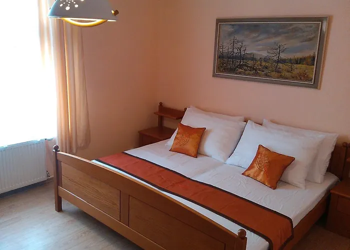 Vidhous 1 Gasthof Františkovy Lázně