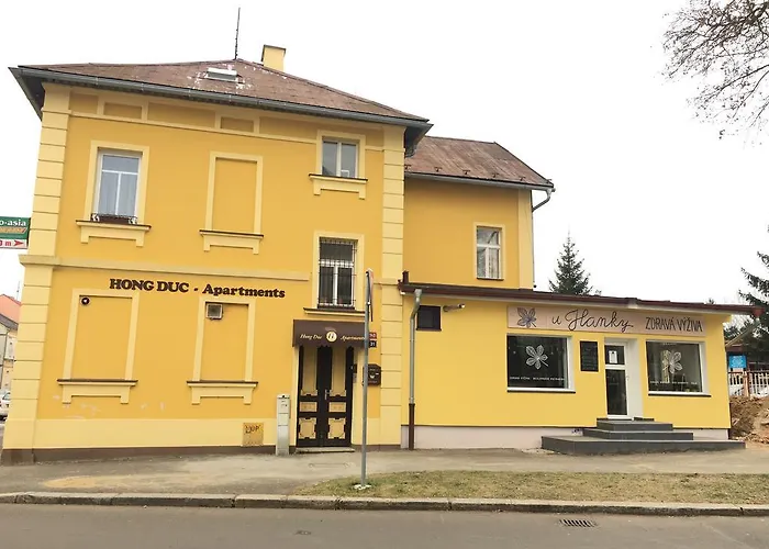 Vidhous 1 3* Františkovy Lázně