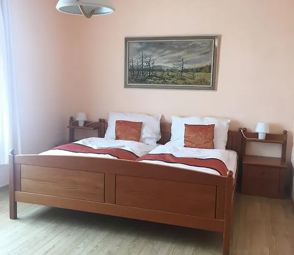 Vidhous 1 3* Františkovy Lázně